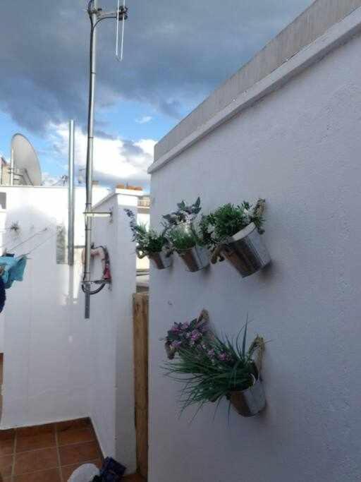 Letsmalaga - Lovely Studio In Malaga Centre Kültér fotó